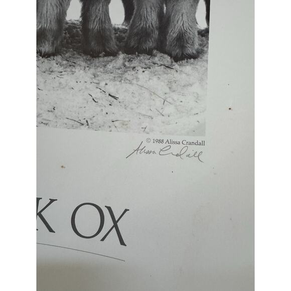 VTG Friends of the Musk Ox Alissa Crandall Poster Artist Signed 1988 Mekoryuk - Picture 9 of 9
